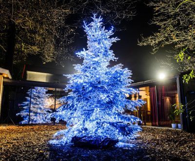 Sapin de Noël floqué blanc avec des guirlandes lumineuses bleues